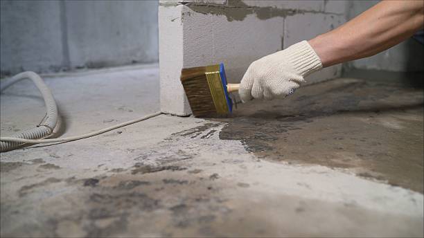 24/7 Emergency Waterproofing experts in Big Rapids, MI